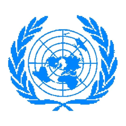 Economic and Social Council