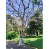 Janhvi AggarwalProfile Picture