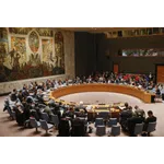 Security Council