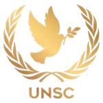 United Nations Security Council (UNSC)