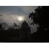 Umar ShahidProfile Picture