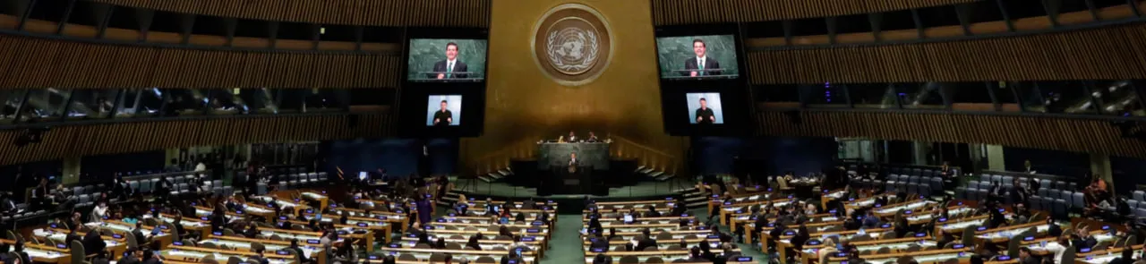FerPSMUN 2025