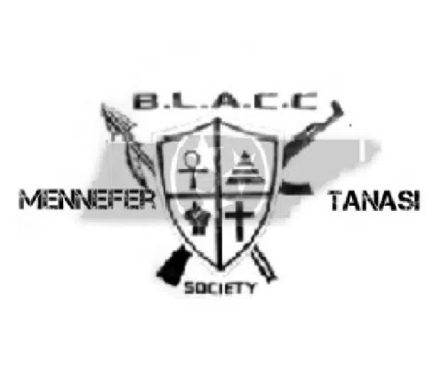 BSCR 2020