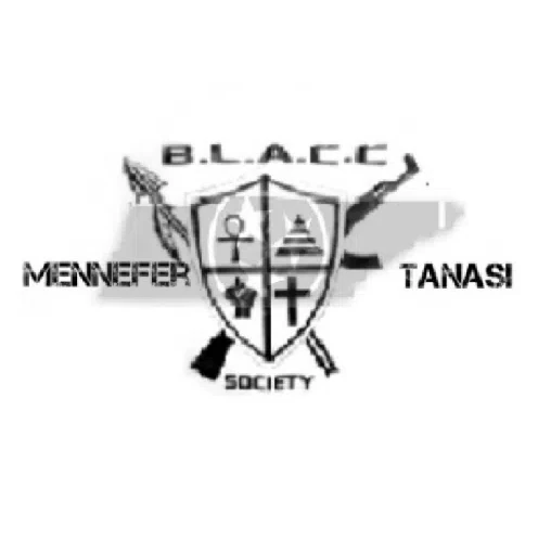 BSCR 2020 logo