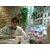 Alexandre AlmeidaProfile Picture