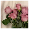 Benazir AhmedProfile Picture