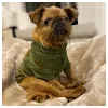Sam DoggettProfile Picture