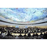 Human Rights Council 