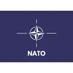 North Atlantic Treaty Organisation (NATO)