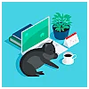 ROP LLC.Profile Picture