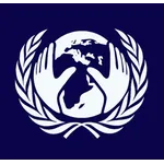 Economic and Social Council (ECOSOC)
