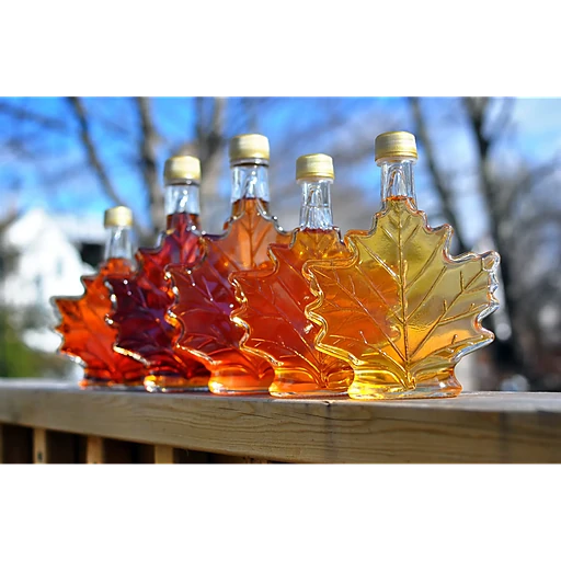 Producteurs et productrices acéricoles du Québec (PPAQ) – The Maple Syrup Cartel
