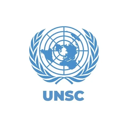 United Nations Security Council