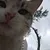 Ranagül BilgiçProfile Picture