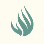 Human Rights Council