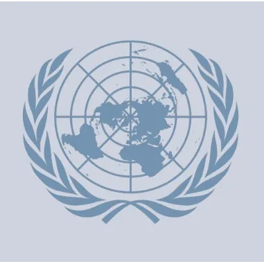United Nations Security Council 