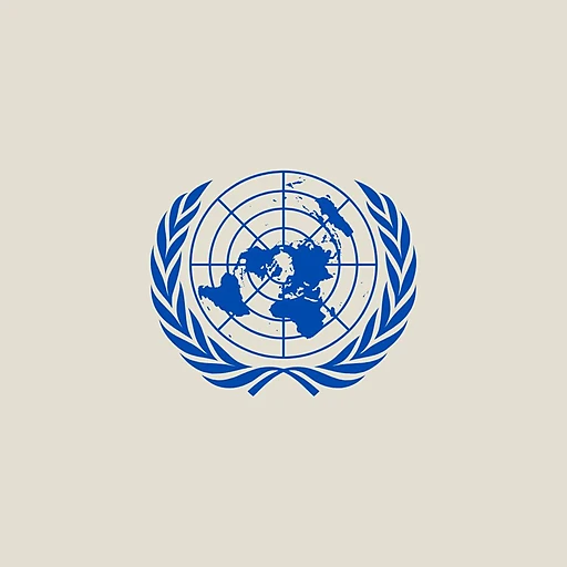 United Nations Security Council (UNSC)