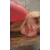 Emilia SzrenferProfile Picture