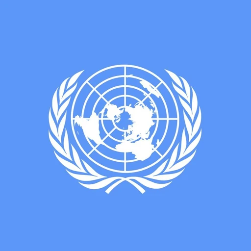UN Security Council (UNSC)