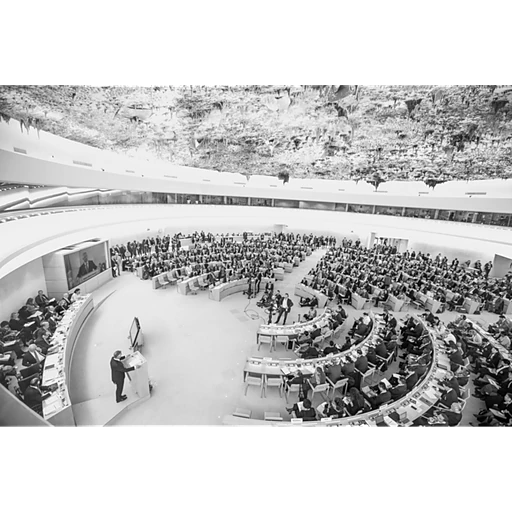 Human Rights Council