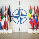 North Atlantic Treaty Organization (NATO)