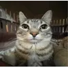 Lea JezierskaProfile Picture