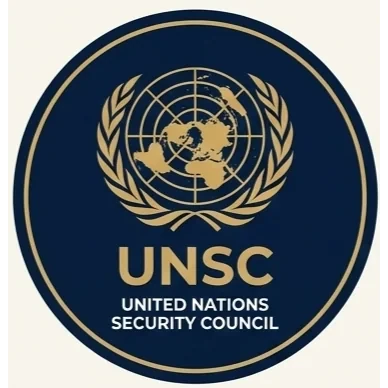 United Nations Security Council (UNSC)