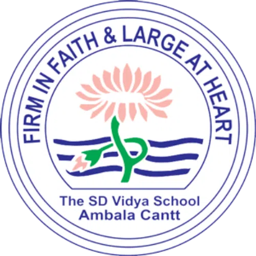 The S.D. Vidya School, Ambala Cantt