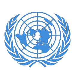 Economic and Social Council