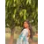 Simran SeehraProfile Picture