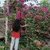 Kashvi ChadhaProfile Picture