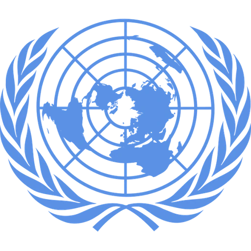 Economic and Social Council