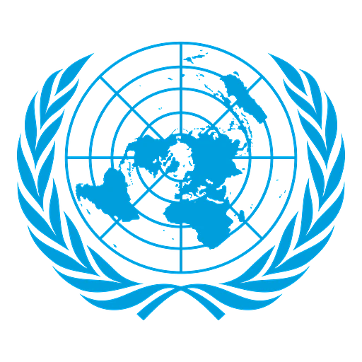 United Nations Security Council (UNSC)