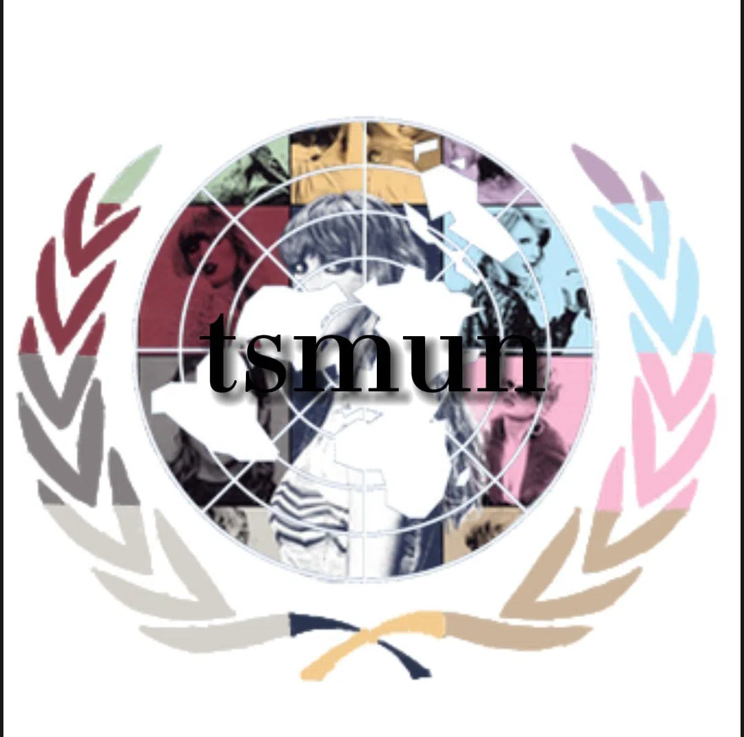 TSMUN 2025