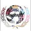 Taylor Swift Model United Nations