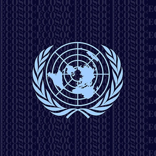 Economic and Social Council