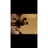 Trijal TalwarProfile Picture
