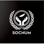 Social, Humanitarian and Cultural Committee (SOCHUM)