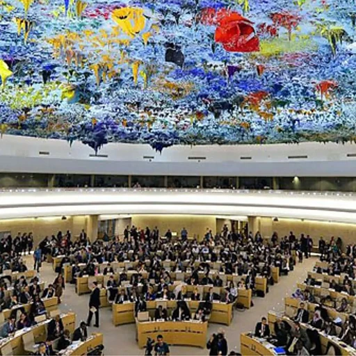 Human Rights Council