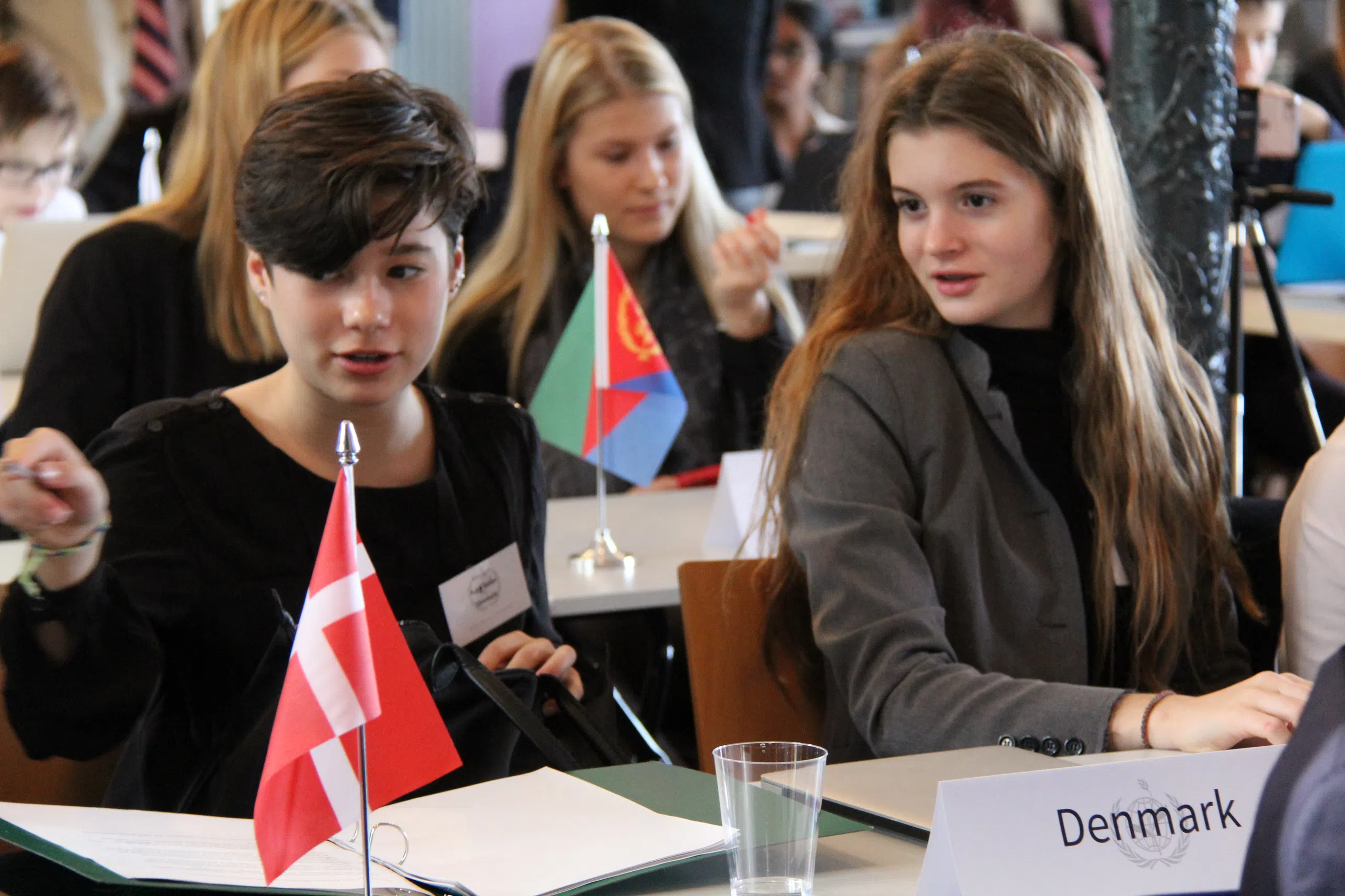 MMUN 2018