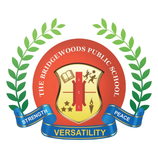 BPSMUN 2025 logo