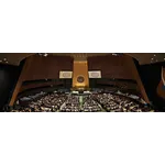 Ad Hoc of the Secretary General