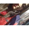 elena jehiProfile Picture