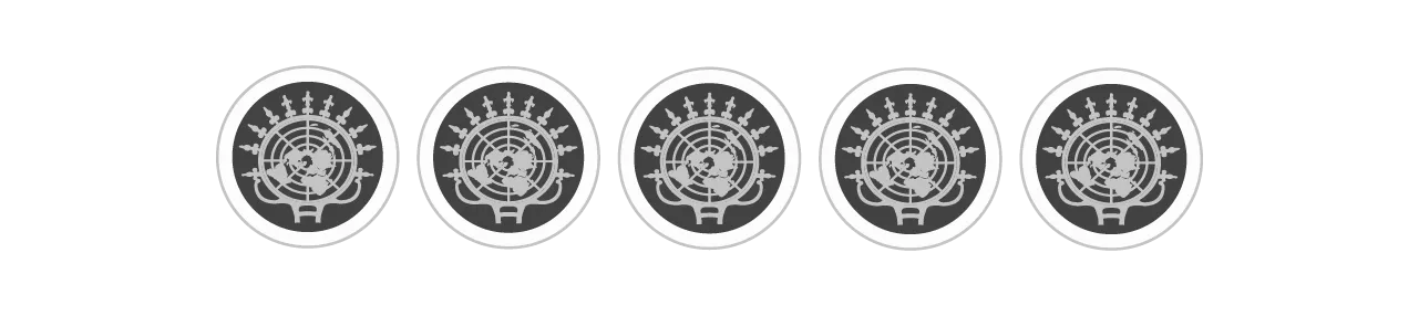 ACMUN TR 2025