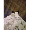 Sonakshi VermaProfile Picture