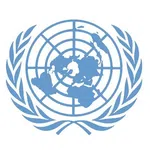 United Nations Security Council (UNSC)