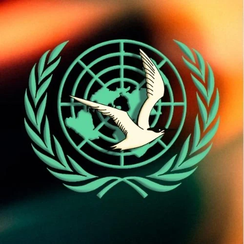 FASNMUN 2024 logo