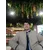 Azan AliProfile Picture