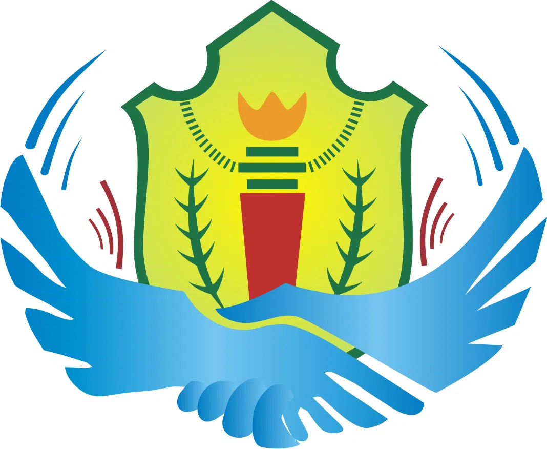 DPSJMUN 2016