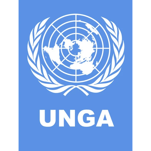 UN General Assembly